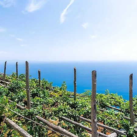 La Vigna Di Bacco Hotel
