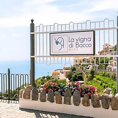La Vigna Di Bacco 3*